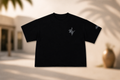 Rue Spray Tee (Cropped)